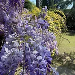 Park Palace Отель Флоренция
