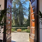 Отель Park Palace