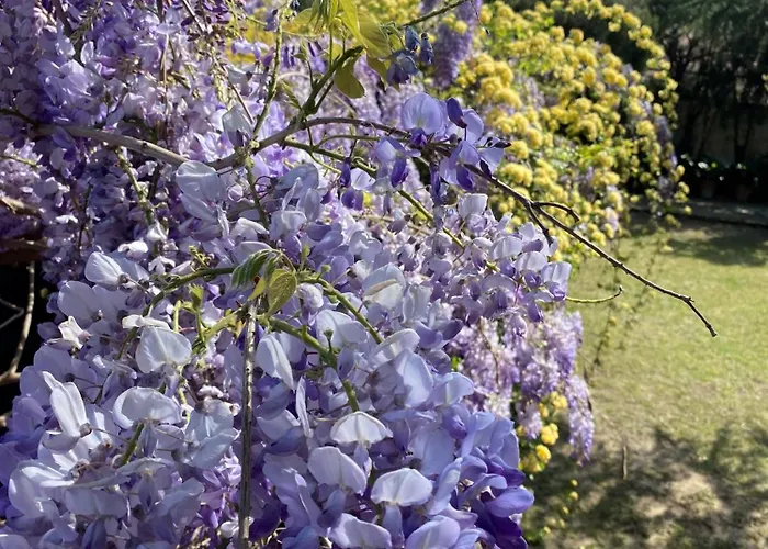 بارك بالاس فندق فلورنس